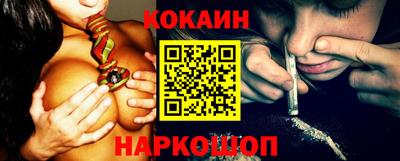 крисы Кингисепп