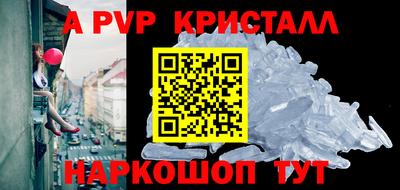крисы Кингисепп