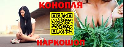 гидра Кинель