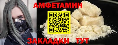 крисы Кингисепп