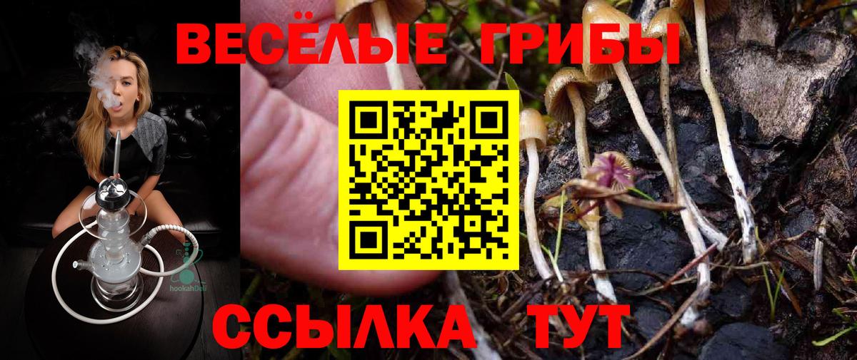 Галлюциногенные грибы Cubensis  Галлюциногенные грибы ЛСД  Кузнецк  Вход с VPN 