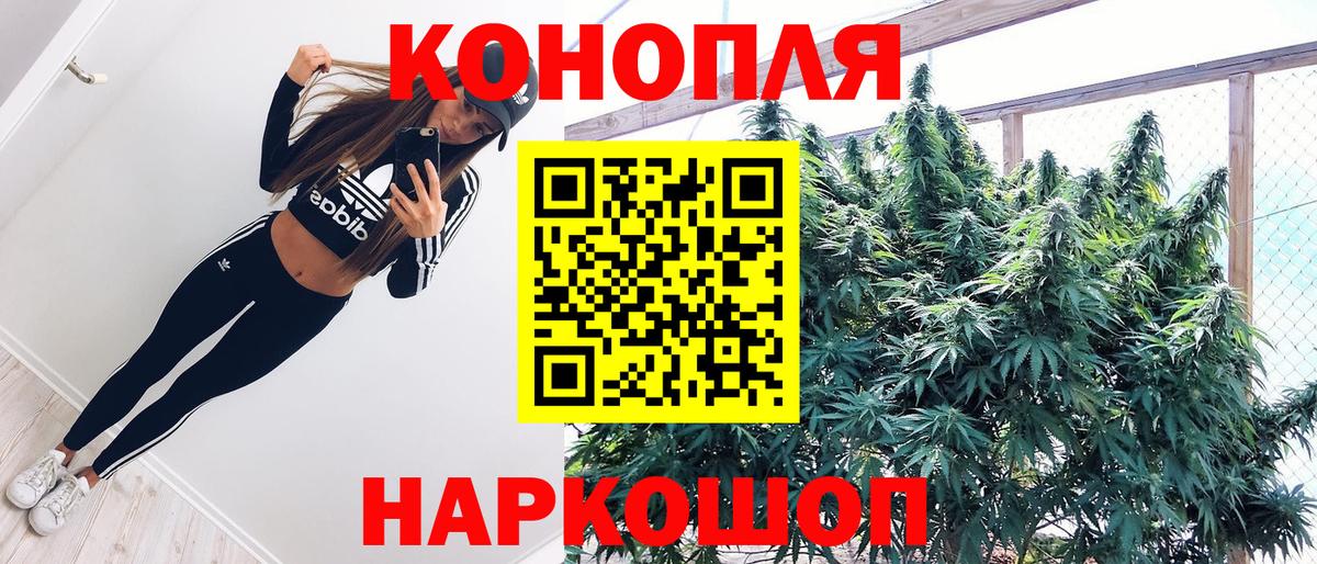 Кузнецк  Шишки марихуана OG Kush  Вход с VPN  Шишки марихуана MAZAR  Каннабис семена  Бошки Шишки конопля 
